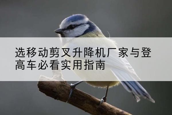 日喀则电动升降机厂家-选移动剪叉升降机厂家与登高车必看实用指南