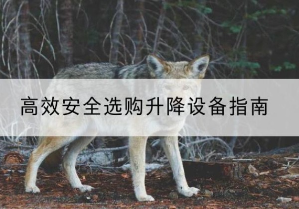 日喀则升降货梯厂家推荐-*安全选购升降设备指南